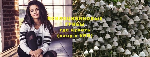 ПСИЛОЦИБИНОВЫЕ ГРИБЫ Волоколамск