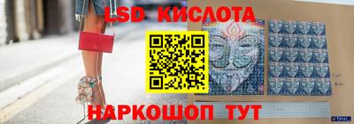 гидропоника Гусев