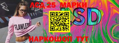 гидропоника Гусев