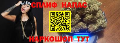 гидропоника Гусев