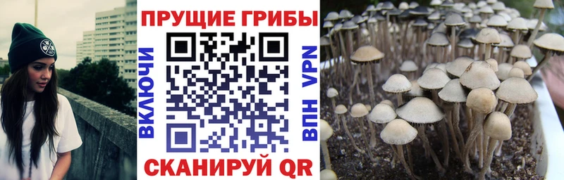 KRAKEN рабочий сайт  Мариинск  Галлюциногенные грибы GOLDEN TEACHER 