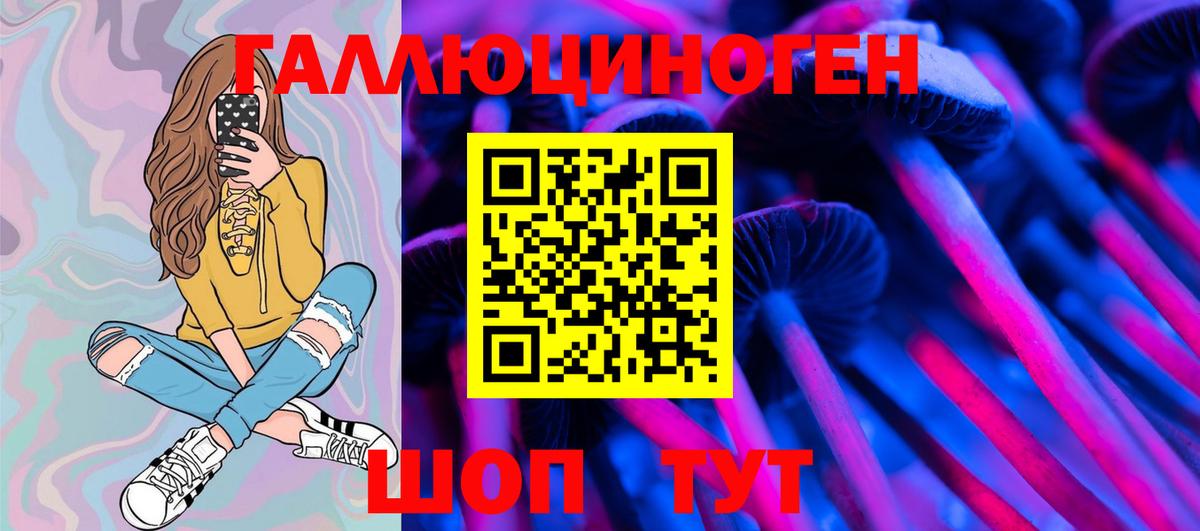 Псилоцибиновые грибы Psilocybine cubensis Мариинск